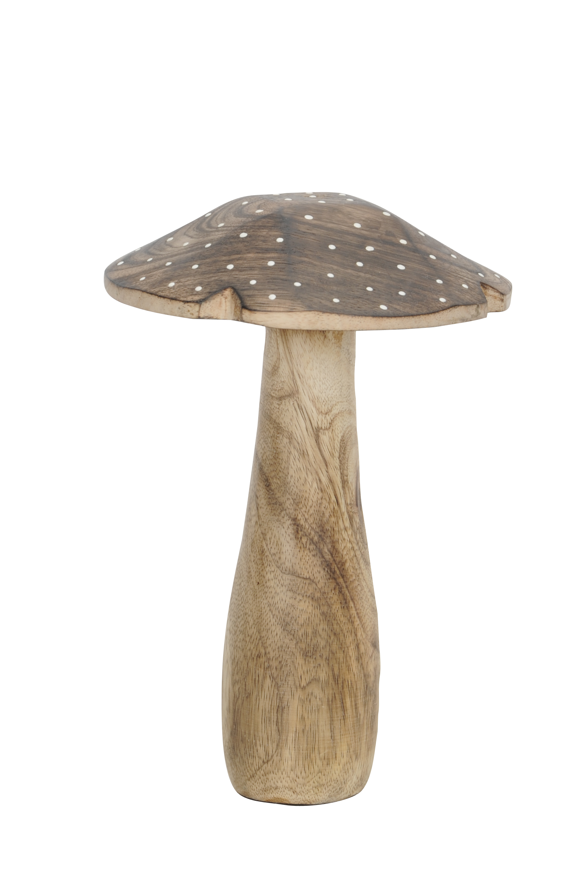 Pilz natur