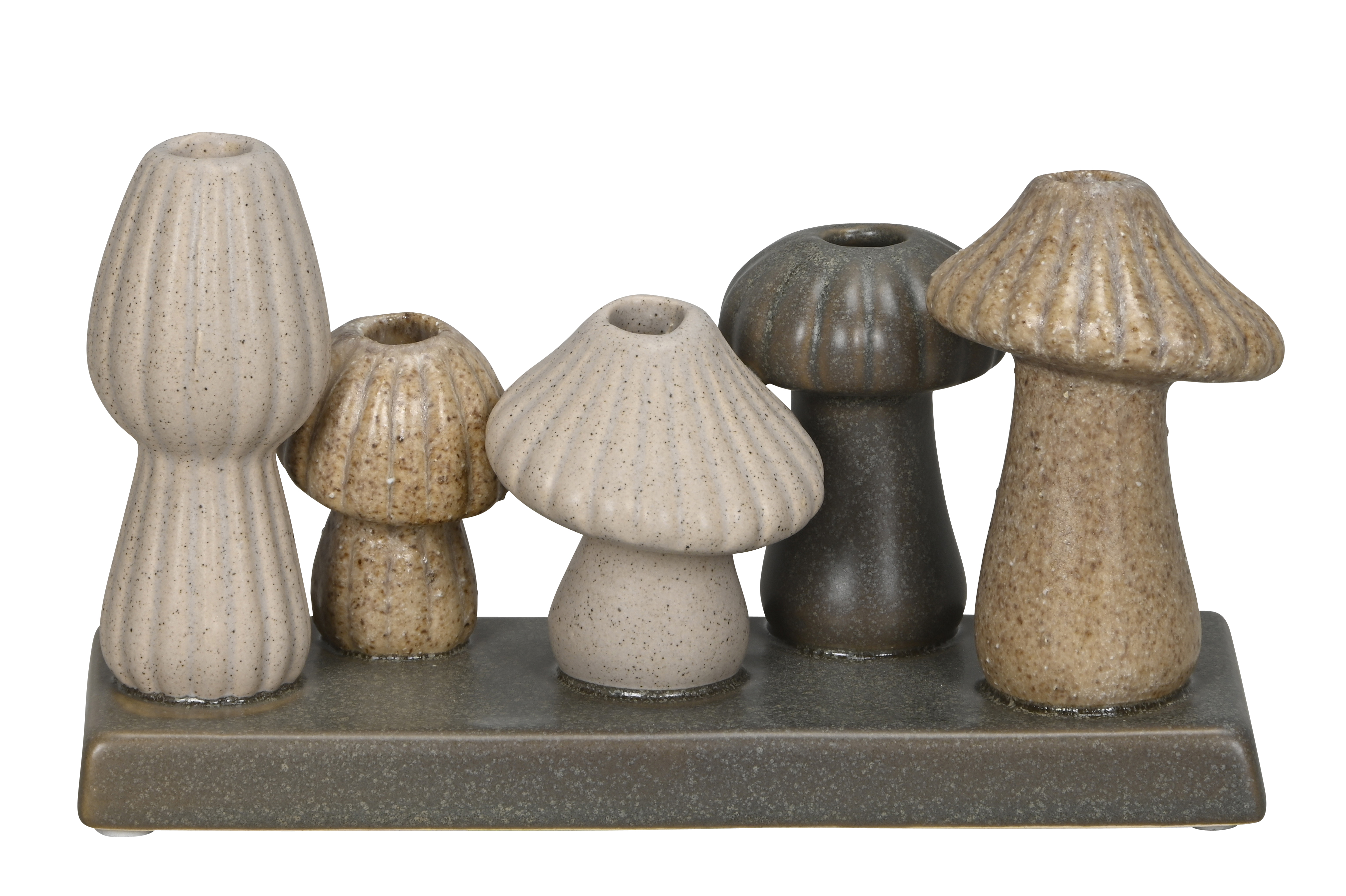 Vasen Pilz auf Platte