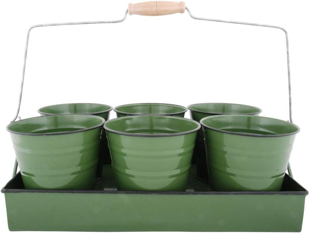 Esschert - 6er Topfset auf Tray - grün