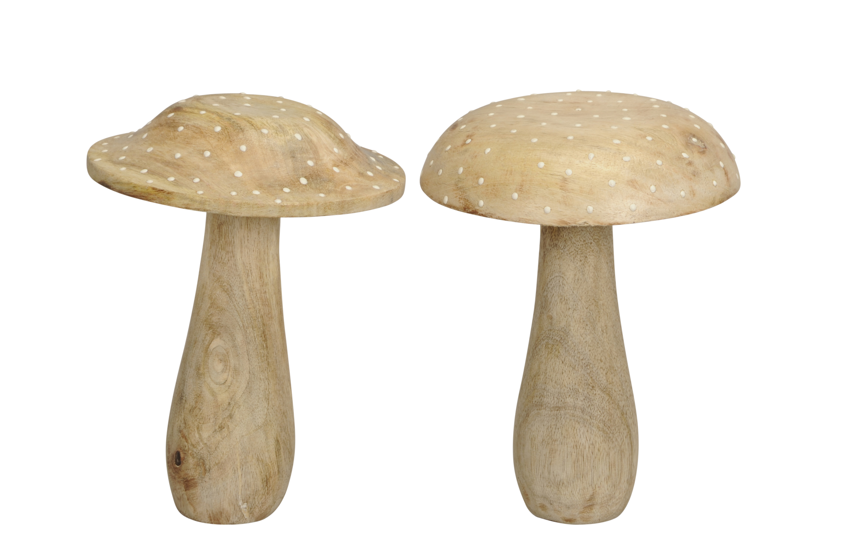Pilz natur (2 Modelle)