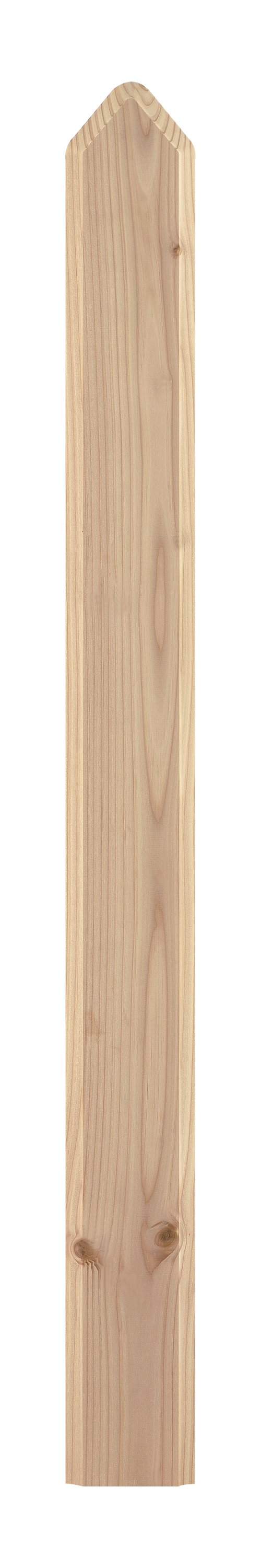 Zaunlatten für Holzzaun/ Balkonbrett für Holzbalkon - Douglasie - 4090/64 DO (18x880x90mm)