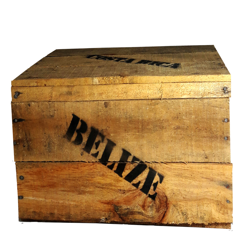 Holzkiste, junior (24x34,5x19cm), Vintage, mit Deckel und Aufdruck